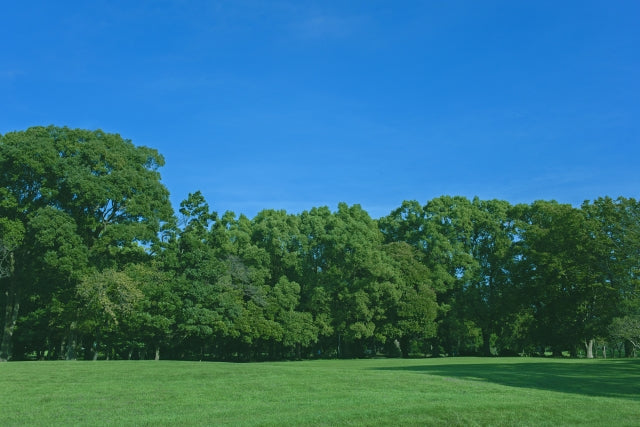 「着物なでし子」公式ネットショップがオープンしました!